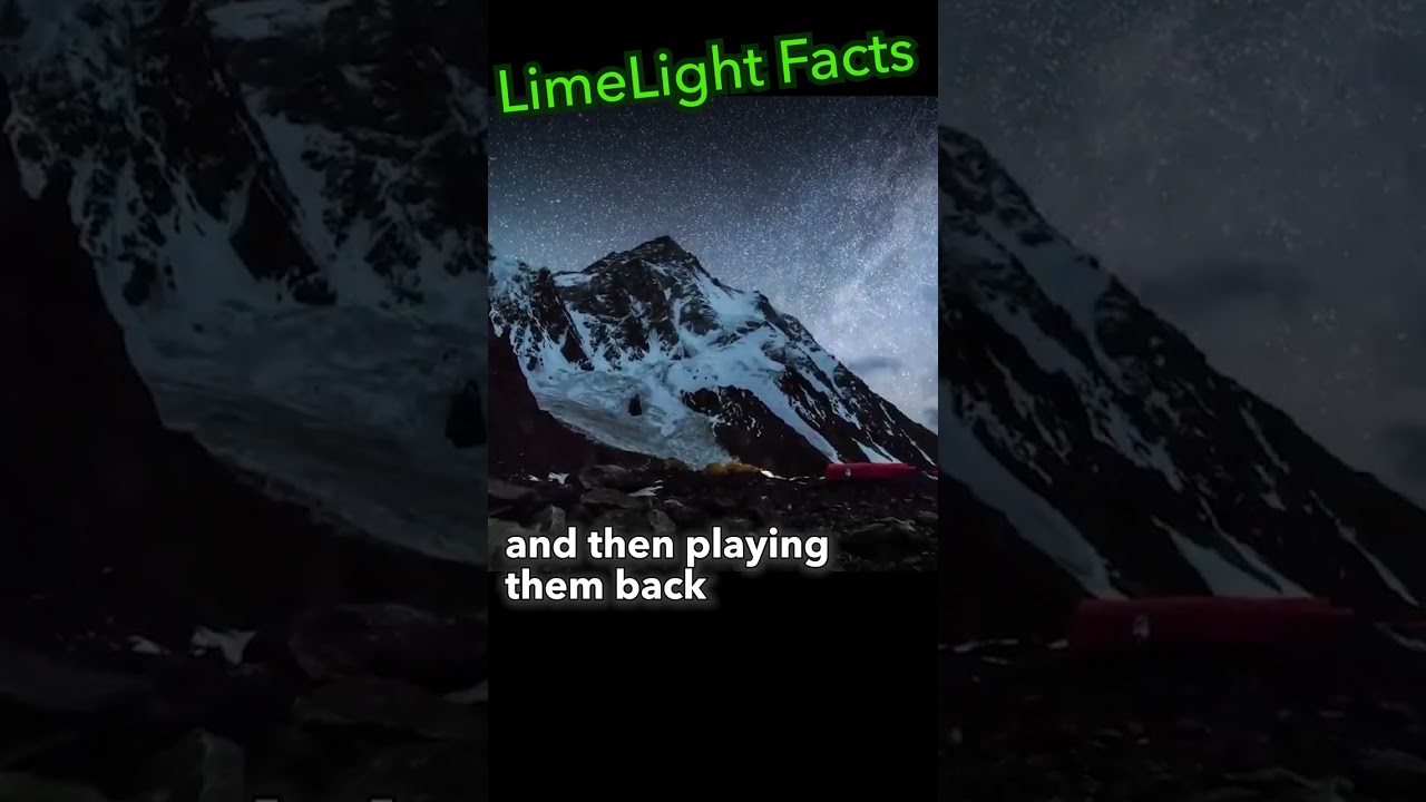 LimeLight Facts   Time Lapse