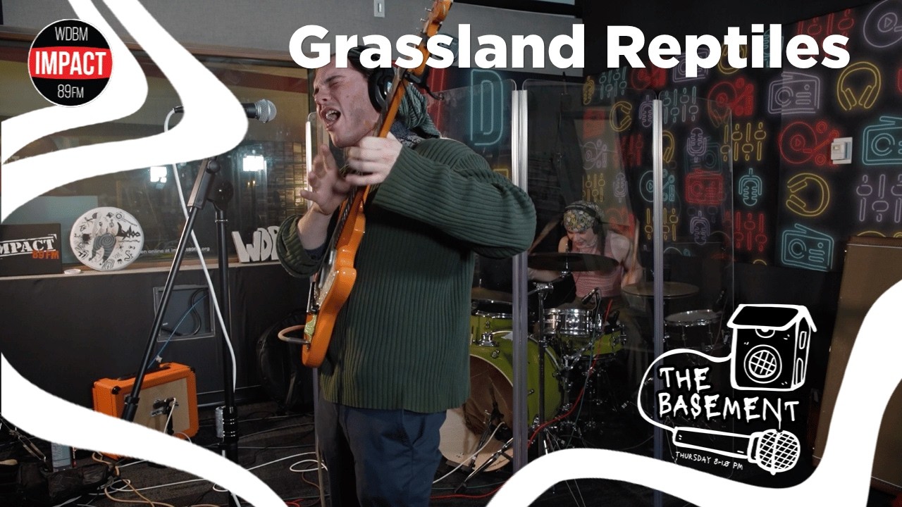 Grassland Reptiles | (Live @ The Basement)