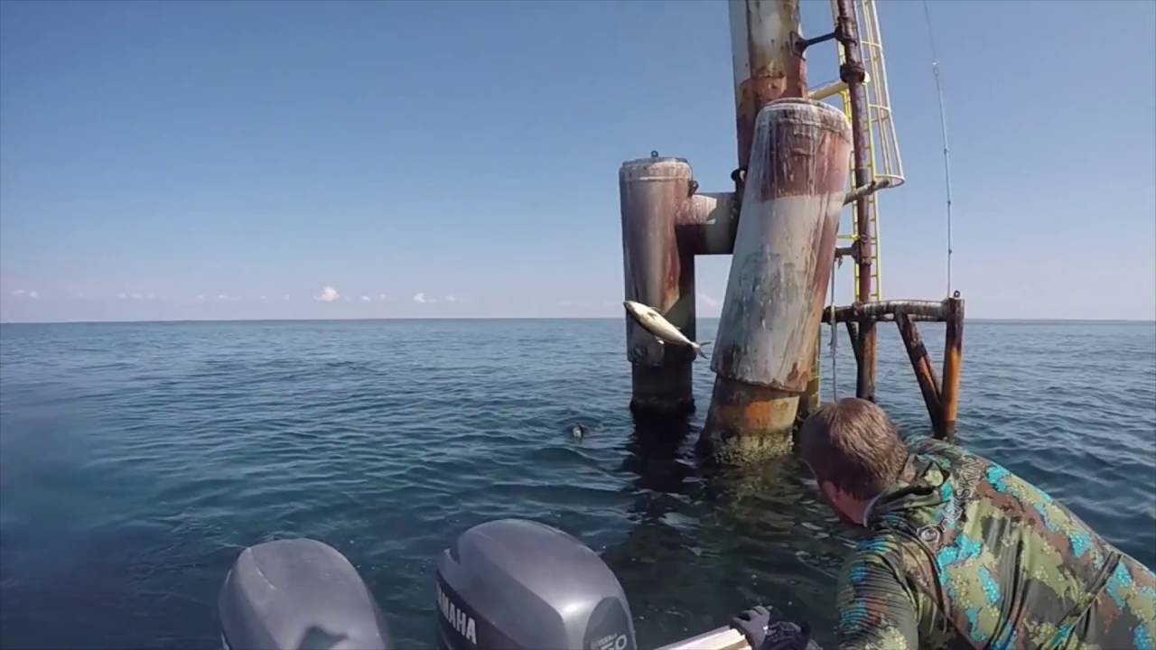 SPEAR SESSIONS VOL. 2 // Venice, LA // Benthic Ocean Sports