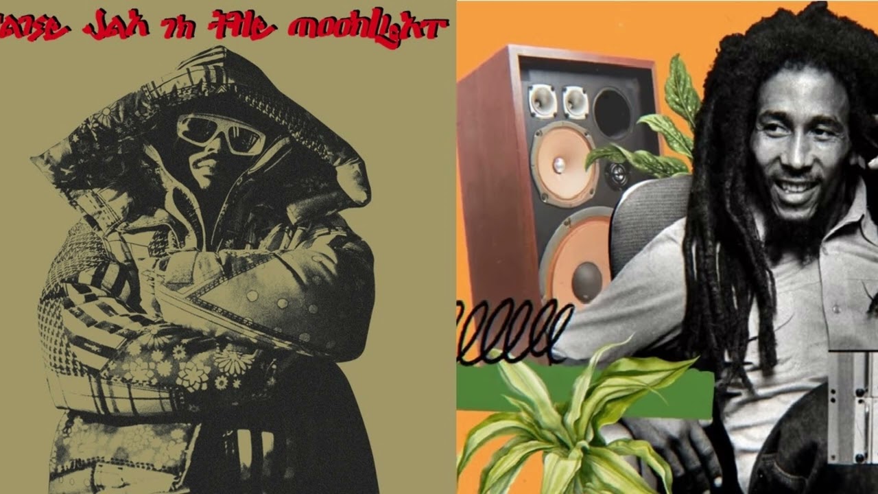 YG MARLEY - PRAISE JAH IN THE MOONLIGHT ft BOB MARLEY - CRISIS