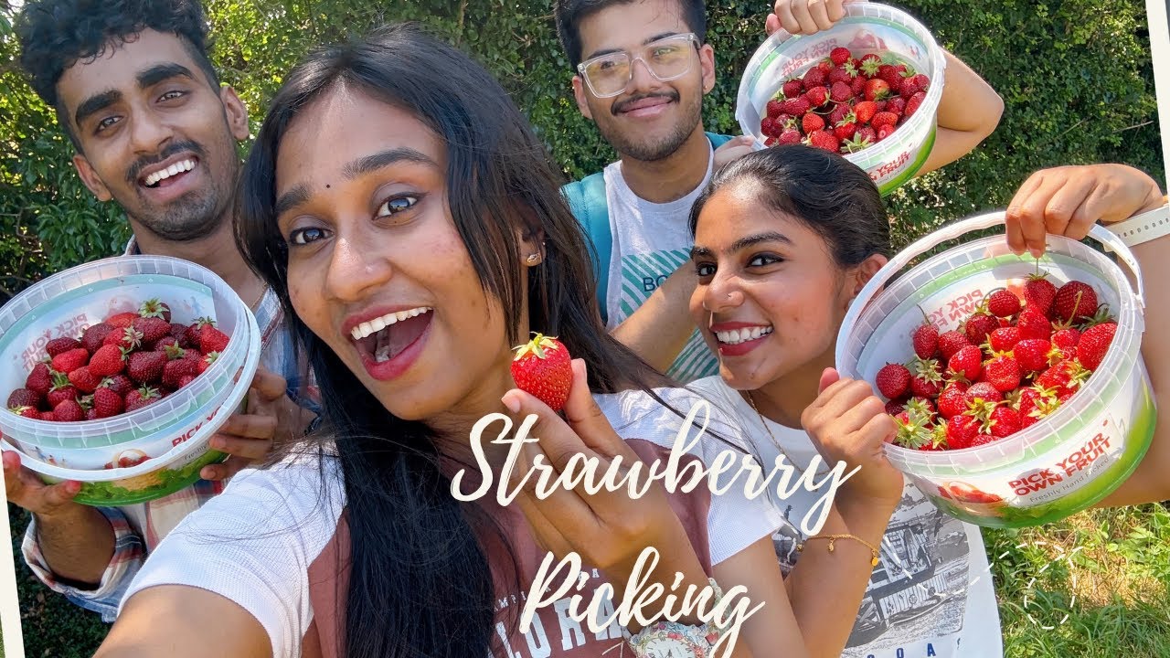 Throwback to our Summer Strawberry Picking Day! 🍓🌤️
