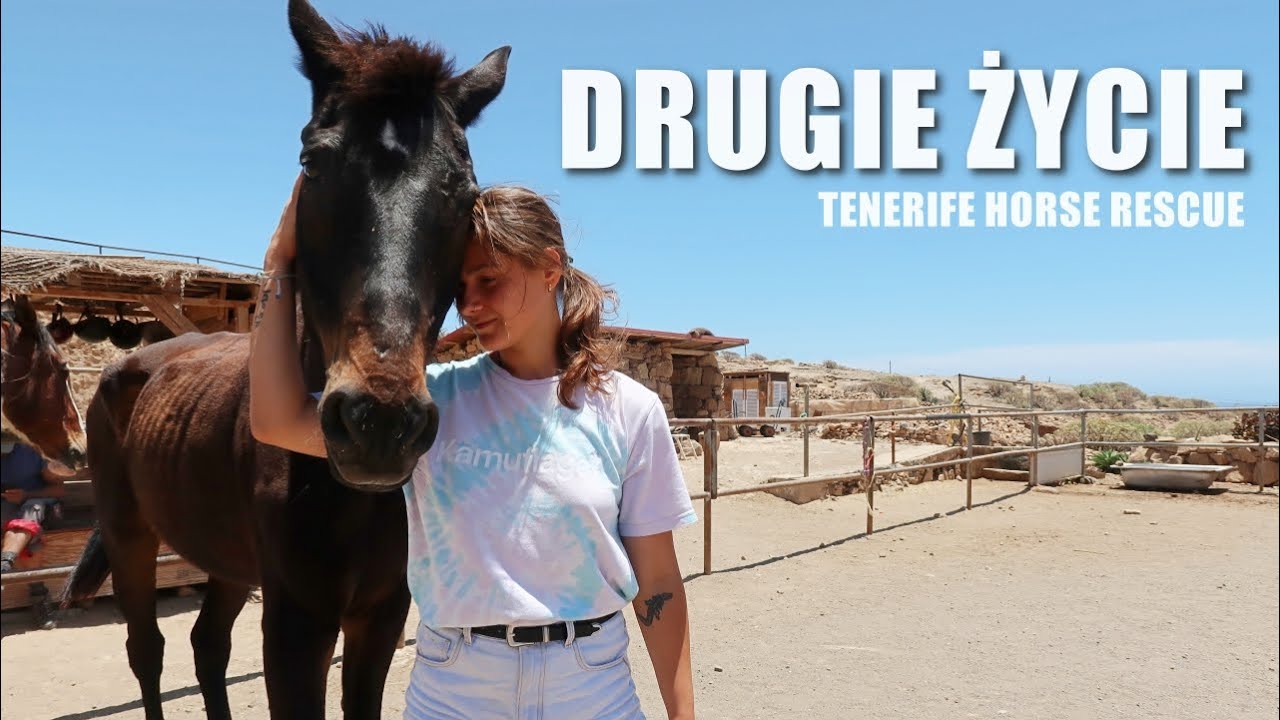 Z miłości do zwierząt. Z potrzeby wolności 🐎 Tenerife Horse Rescue ★ so KAYKA