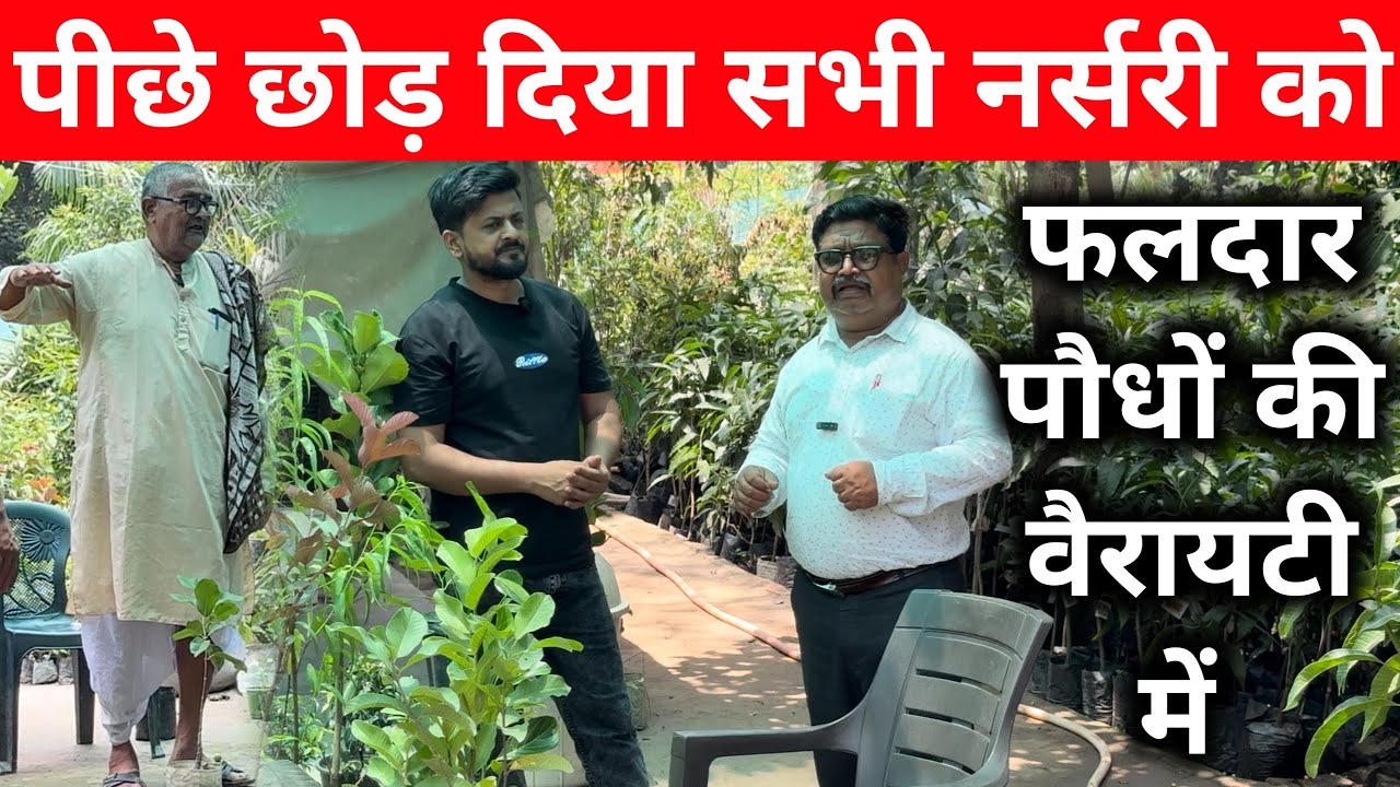 पीछे छोड़ दिया सभी नर्सरी को फलदार पौधों की वैरायटी में | online plant delivery in india