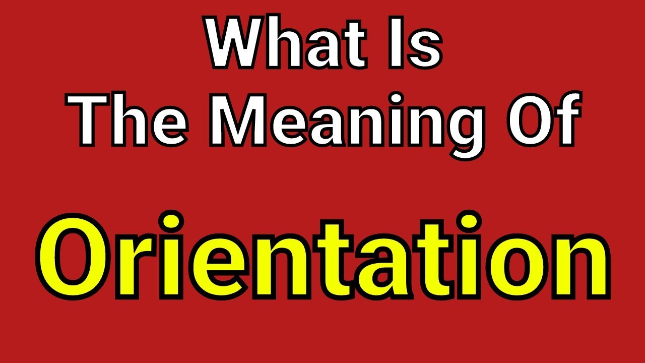 Meaning Of Orientation | Orientation | English Vocabulary | Most Common Words in English