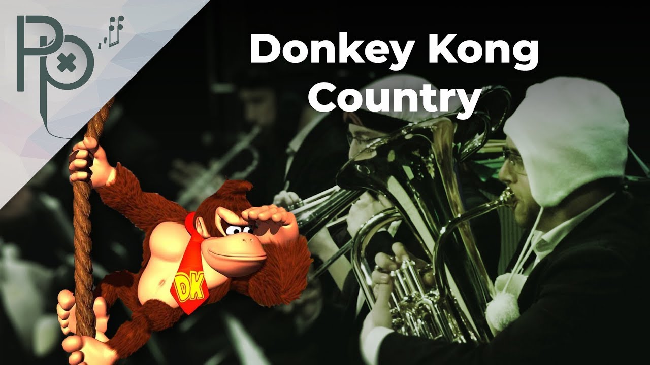 Donkey Kong Country - Pixelophonia - Live @animest 2017