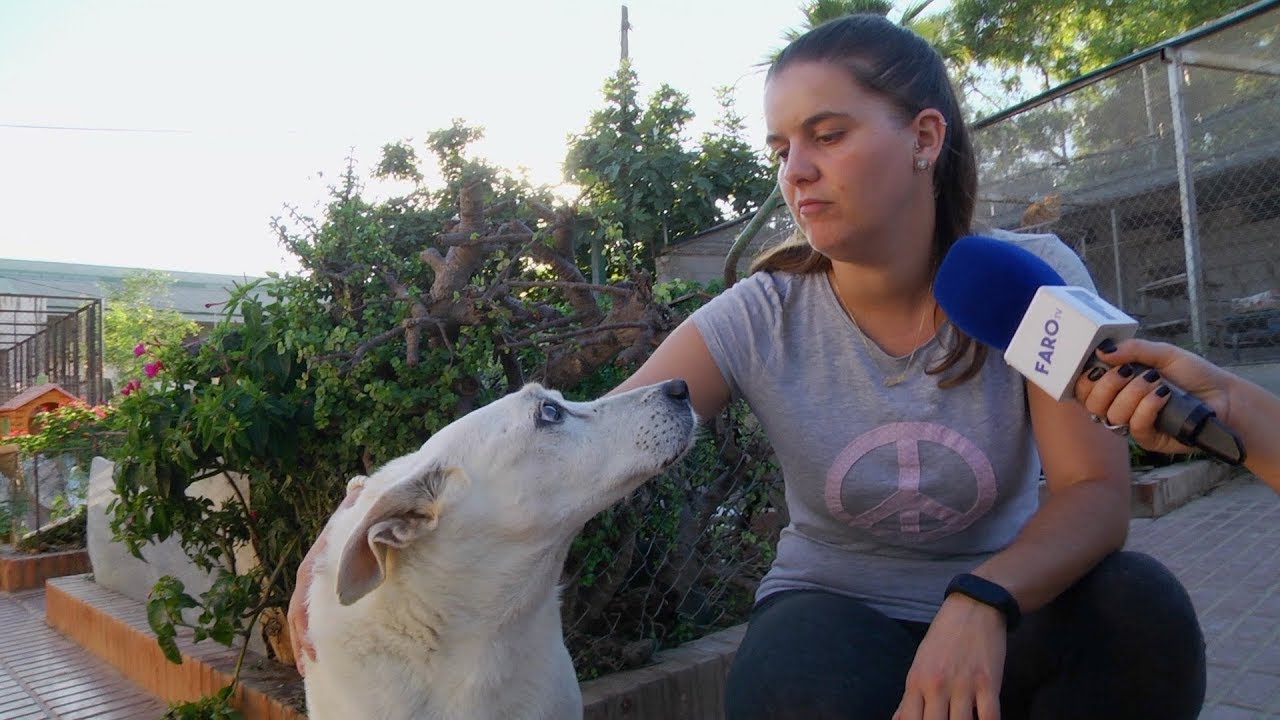 Visita a la protectora de animales de Melilla