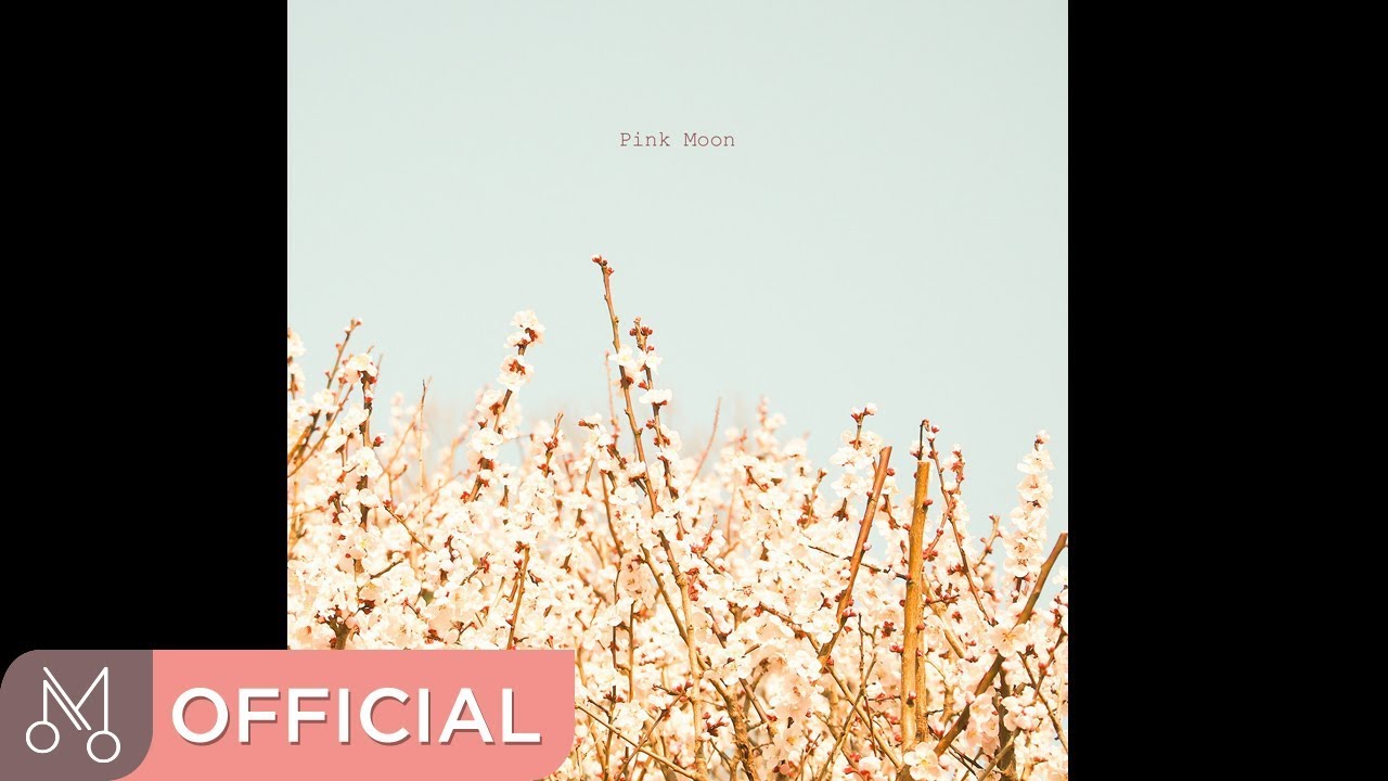 하얀빛 'Pink Moon' - Light On You