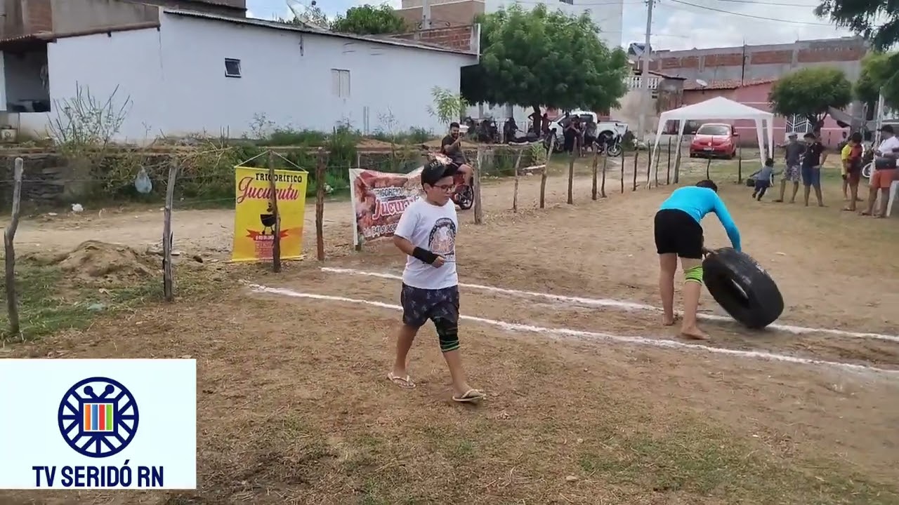 vaquejada de pneus organização Miolo bobo