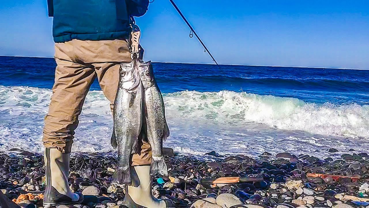 冬でもアタリが連発する、この釣りがすごい