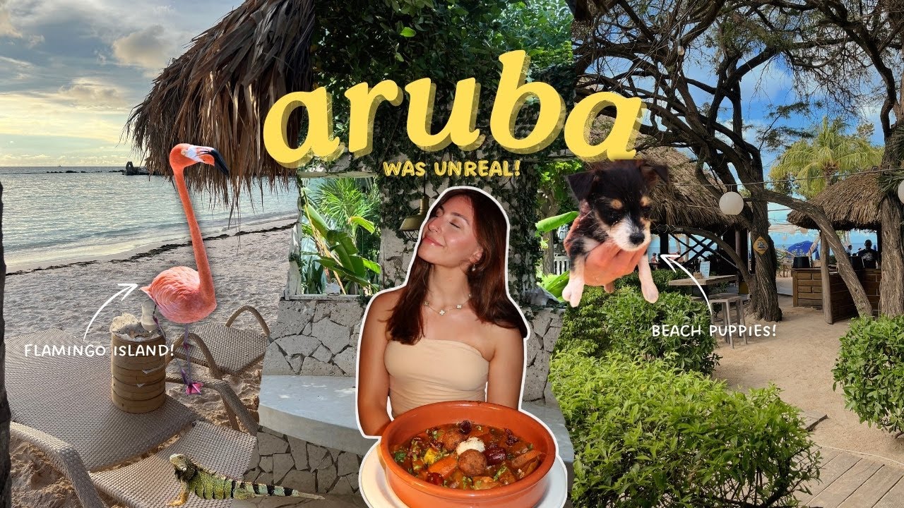 Watch THIS Before Going to Aruba… (flamingo island, hidden gems, puppies, foodie)