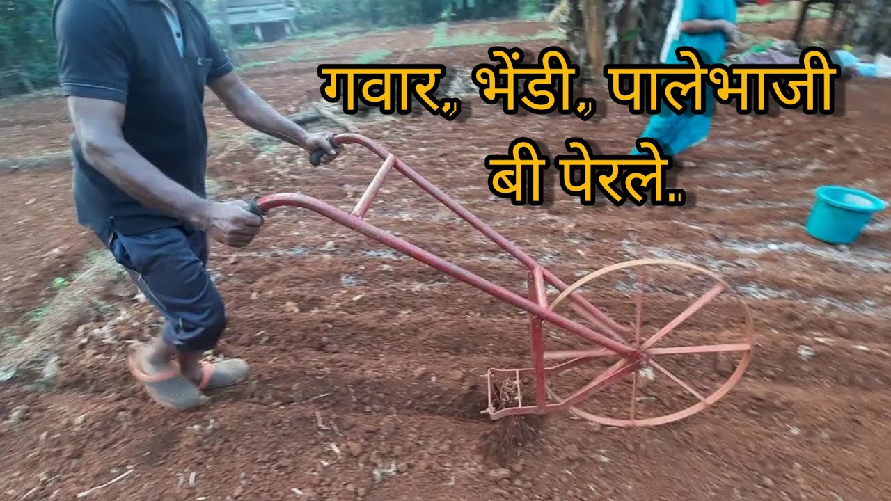 4 कोपरे भाजी पेरली...