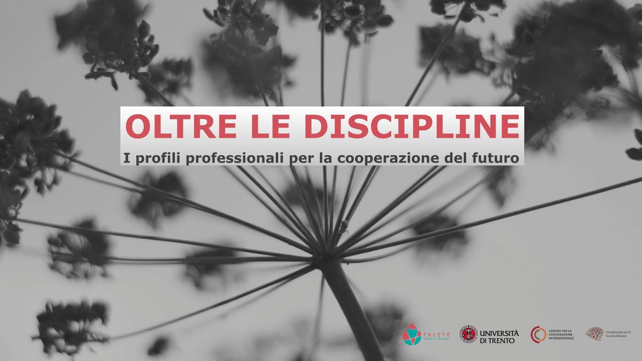 OLTRE LE DISCIPLINE: I profili professionali per la cooperazione del futuro