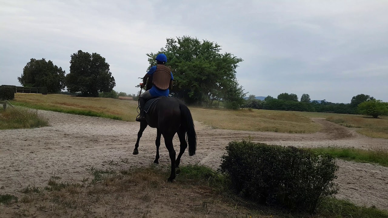 20190723 072735