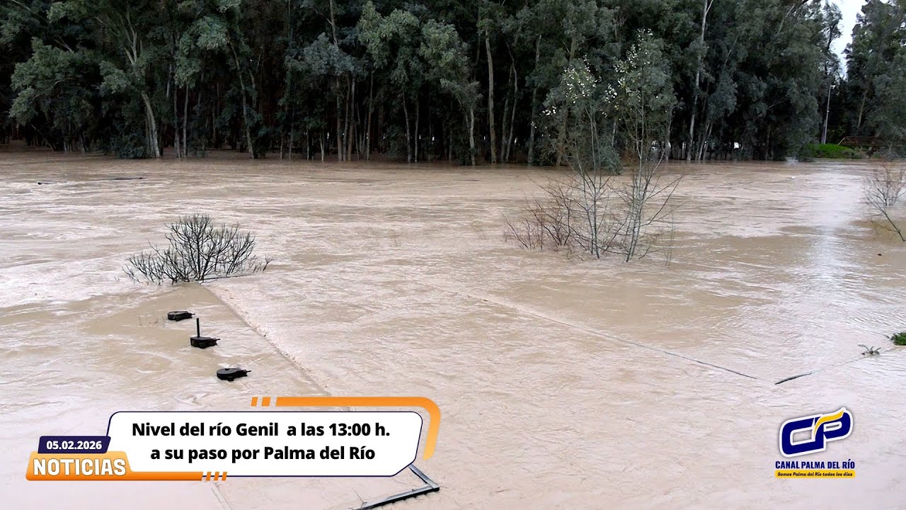 Nivel del río Genil  a las 13:00 h. a su paso por Palma del Río