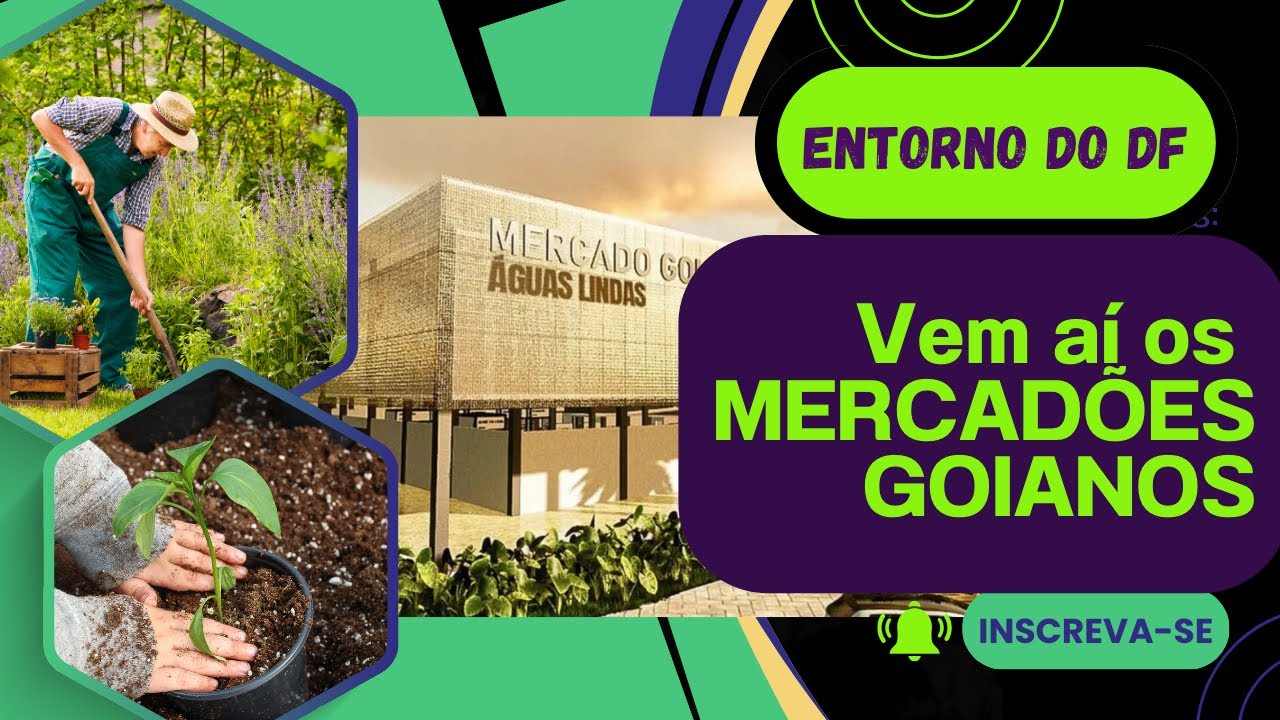 GOVERNO DE GOI&Aacute;S INVESTE EM MERCAD&Otilde;ES NO ENTORNO DO DF