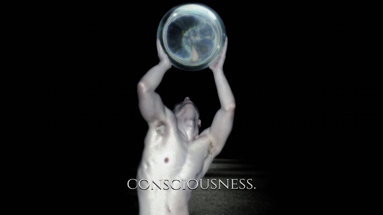 ╭ HIGHER REALMS, HIGHER CONSCIOUSNESS ⚘ 4D &rarr; 3D ╮