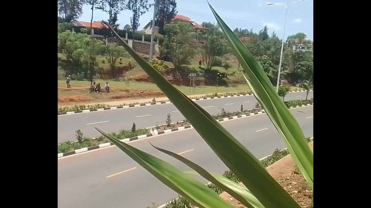 UCI irushanwa ryamagare murwanda Live irebere ibiri kuba  nonaha 🚴🚴🚴🚴