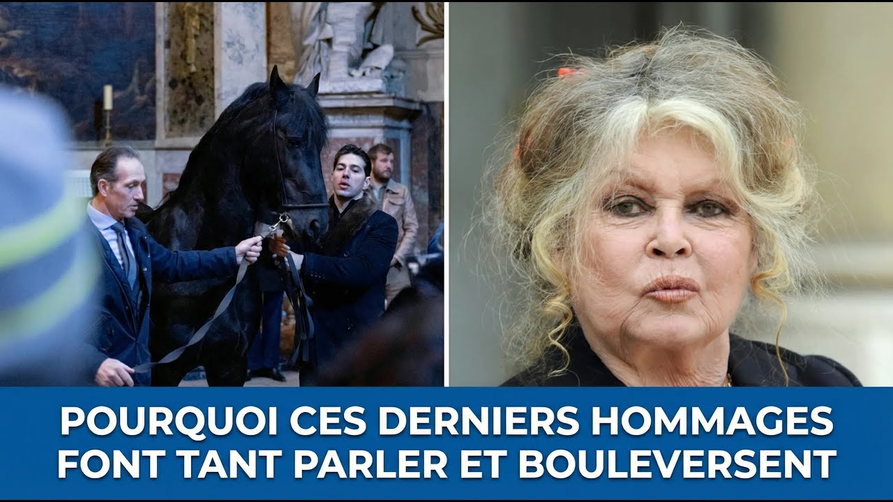 Dernier hommage à Brigitte Bardot : pourquoi le Vatican s’est excusé et le cheval dans l’église