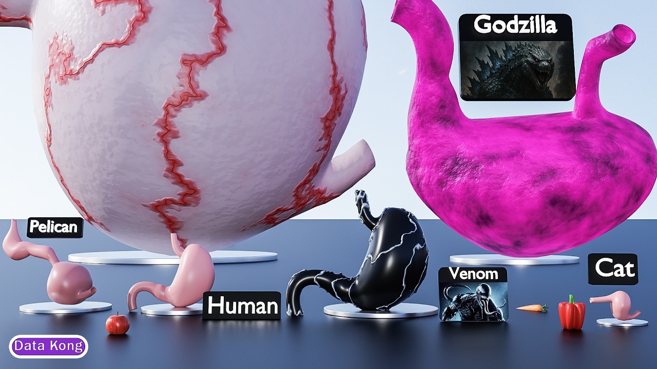 Animal vs Monster Stomach Size Comparison (Sea Monsters vs Land Monsters)