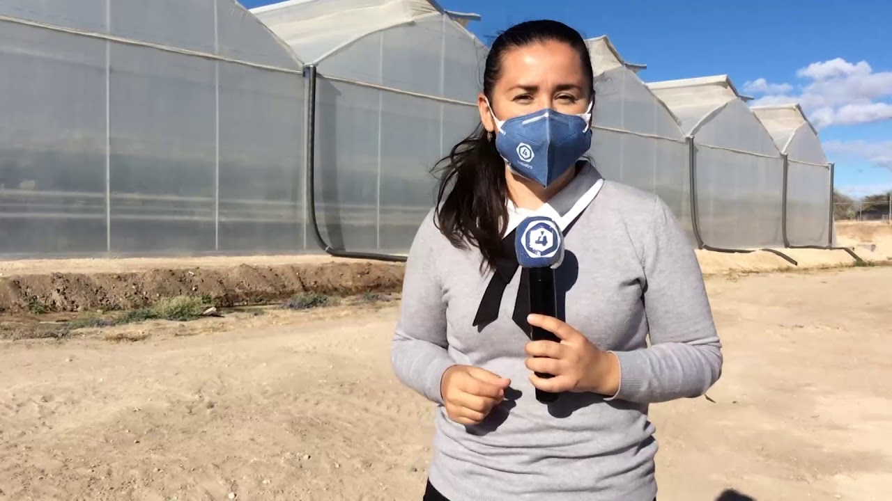 ¡Llega alta tecnología a  invernaderos en Dolores Hidalgo!