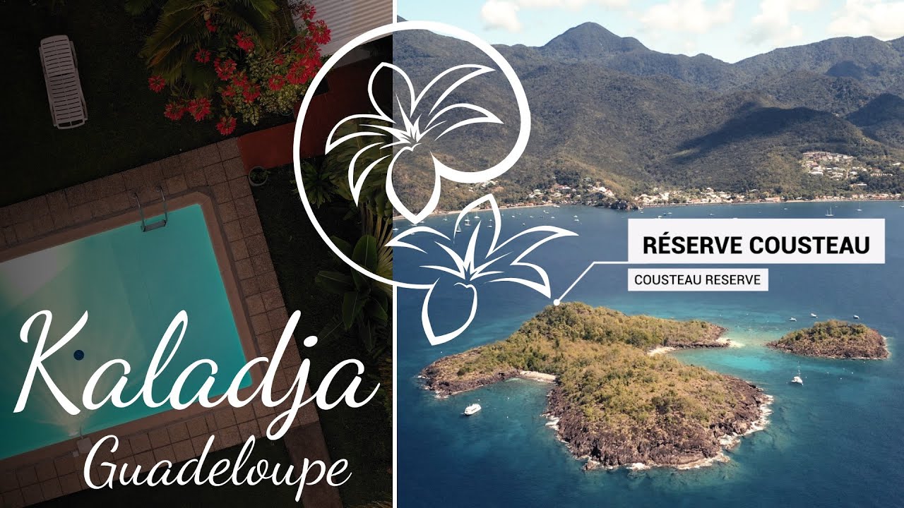 DÉCOUVREZ LES MERVEILLES DE LA GUADELOUPE AVEC LE GÎTE KALADJA