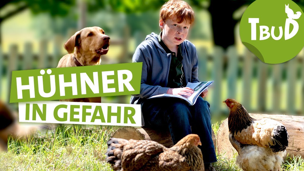 Killerhund (Folge 125) | Tiere bis unters Dach