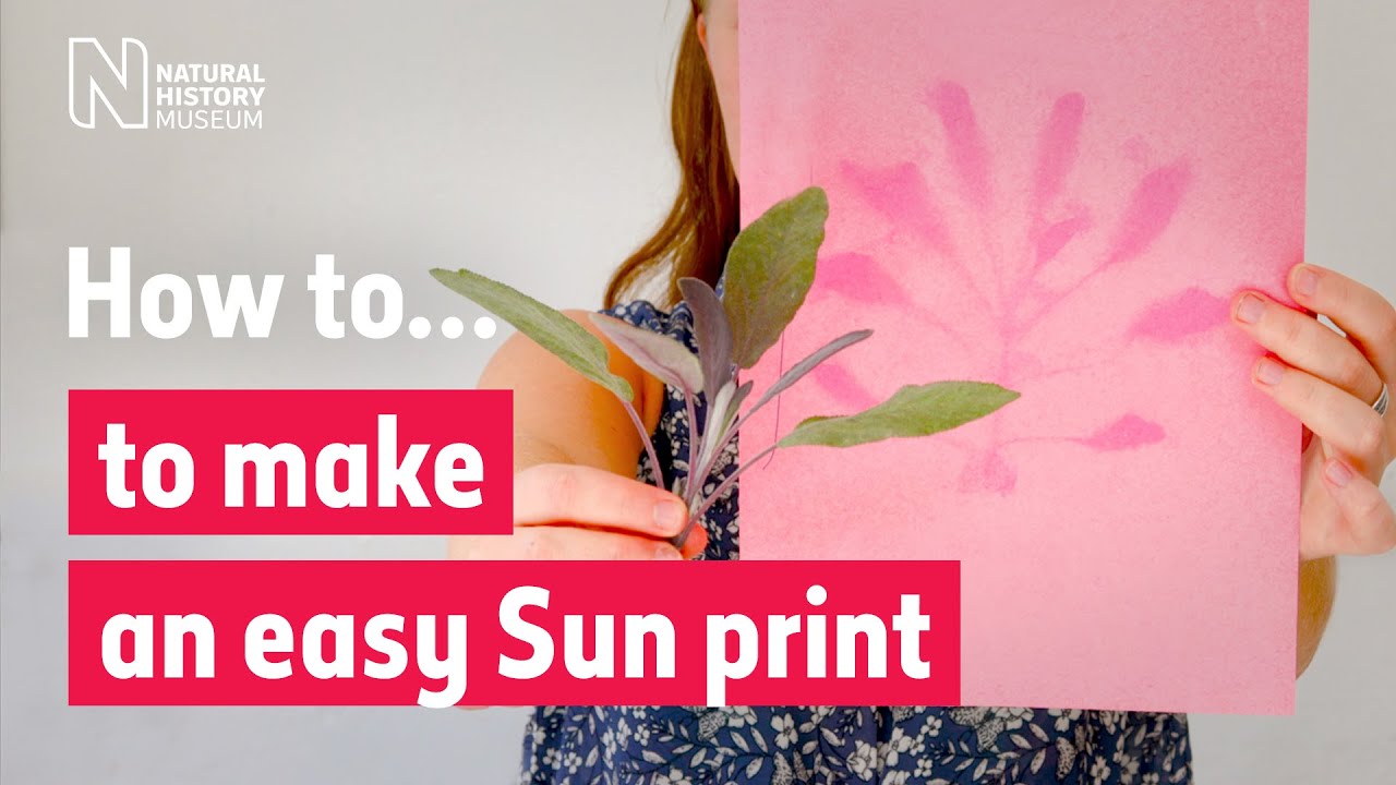 How to make an easy Sun print