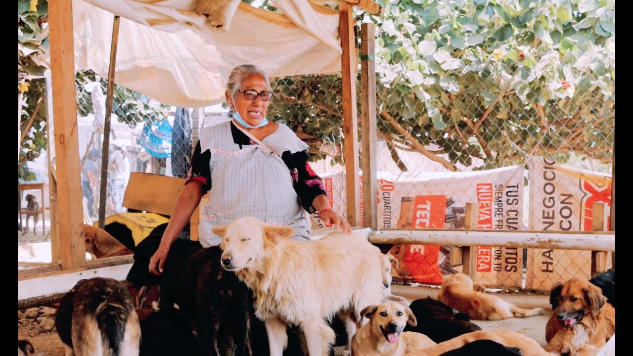 Conoce el Refugio de Perros de la T&iacute;a Migue