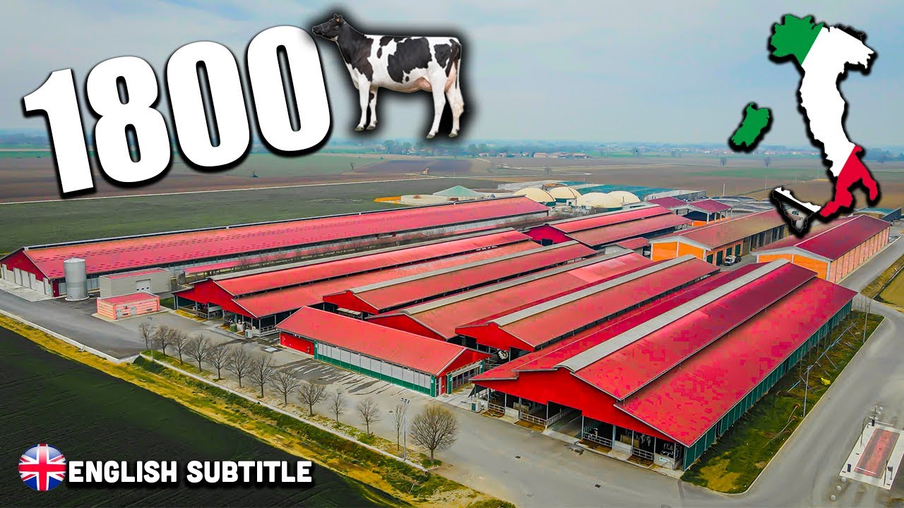 BIG DAIRY FARM XL 🇮🇹 Il passe de 900 à 1800 Vaches 🐄💨