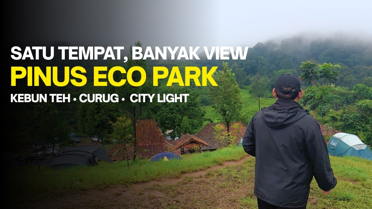 Camping di Bogor, Depan Tenda Langsung Kebun Teh | Pinus Eco Park