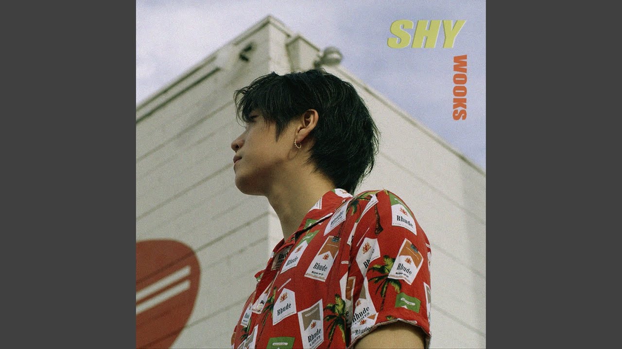 Shy (feat. Artinb)