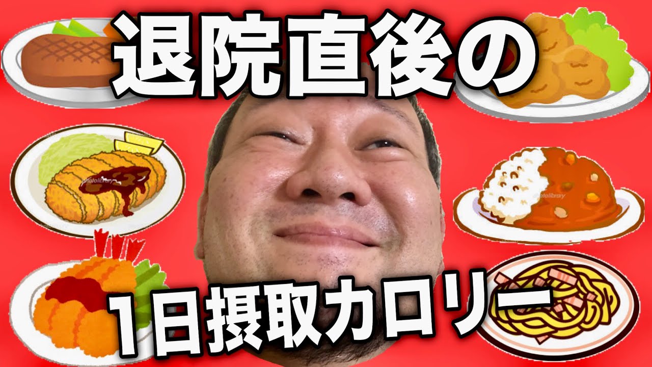 【デブ】鬱憤晴らし！退院後の1日摂取カロリーvol.22