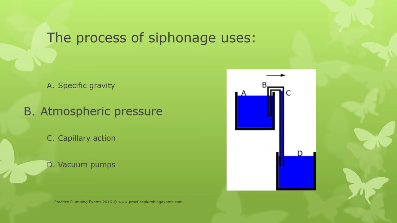 scientific principles exam test plumbing