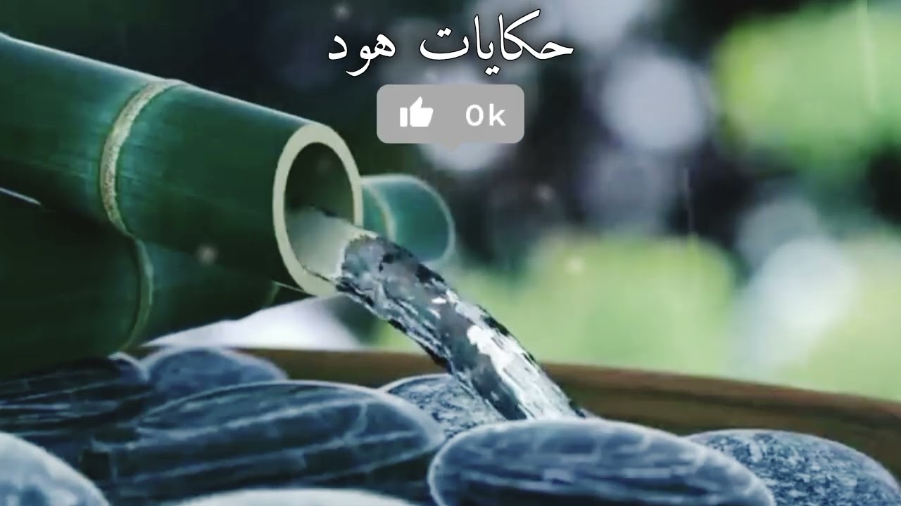 مقتو...ل في ظروف غامضة #قضايا_الدرك_الملكي