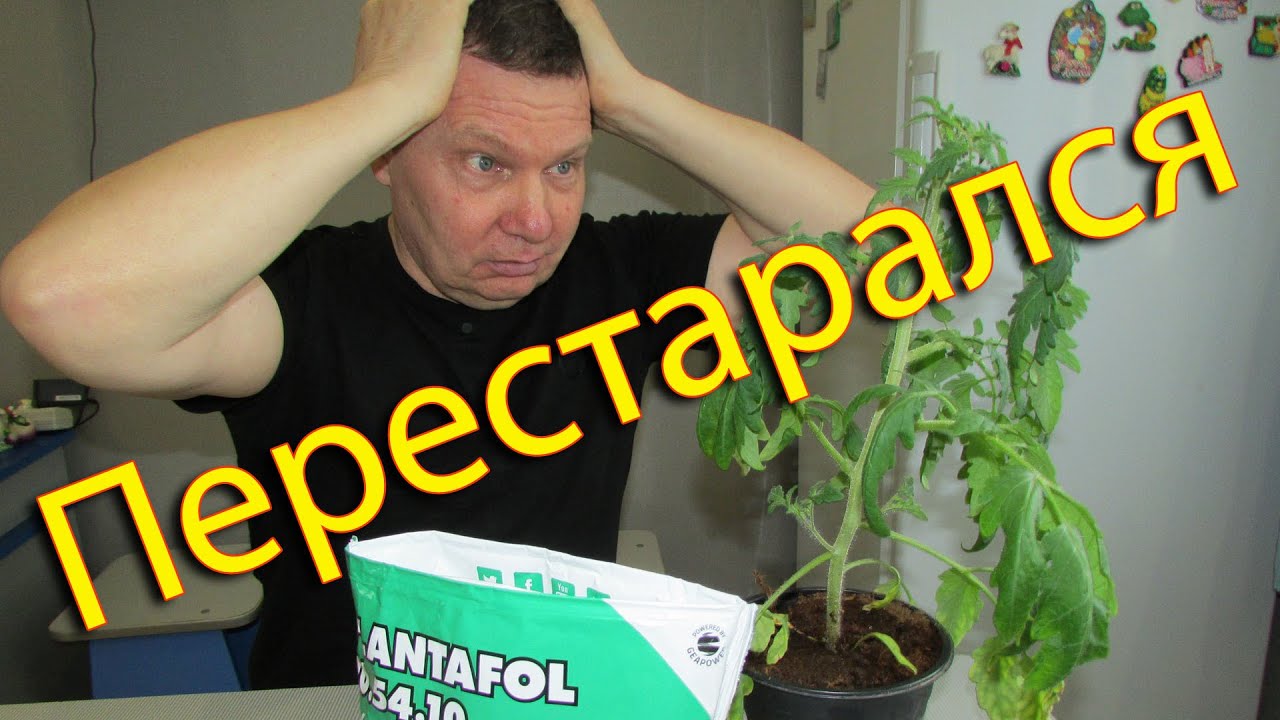 «Недосол на столе, пересол на спине»