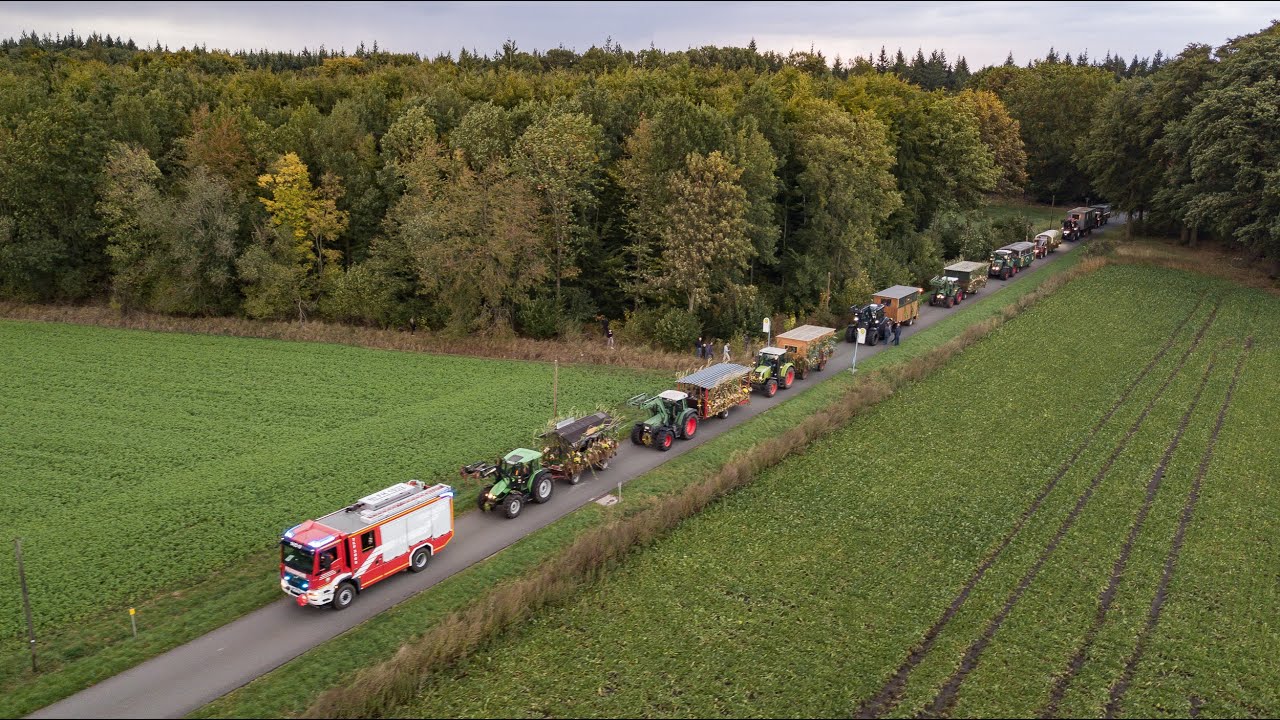 Erntefest 2025 in Holte-Langeln - Umzug der Erntewagen
