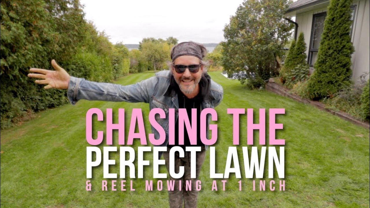 Breaking The 1/3rd Rule | Reel Mowing At One Inch With The GM1600