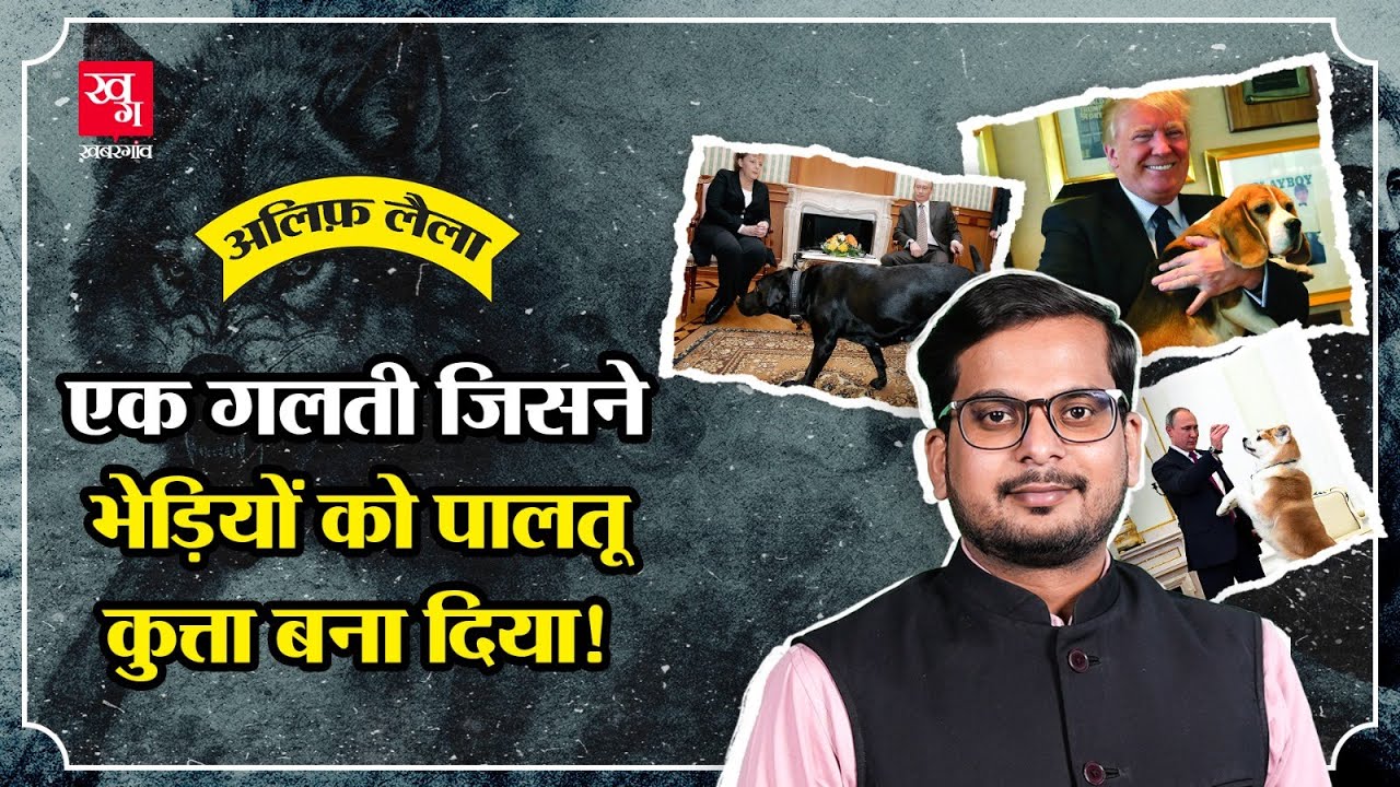 पालतू कैसे बनता है कोई जंगली जानवर? Stray Dogs | Dogs Pet | Dogs domestication |Alif Laila E73