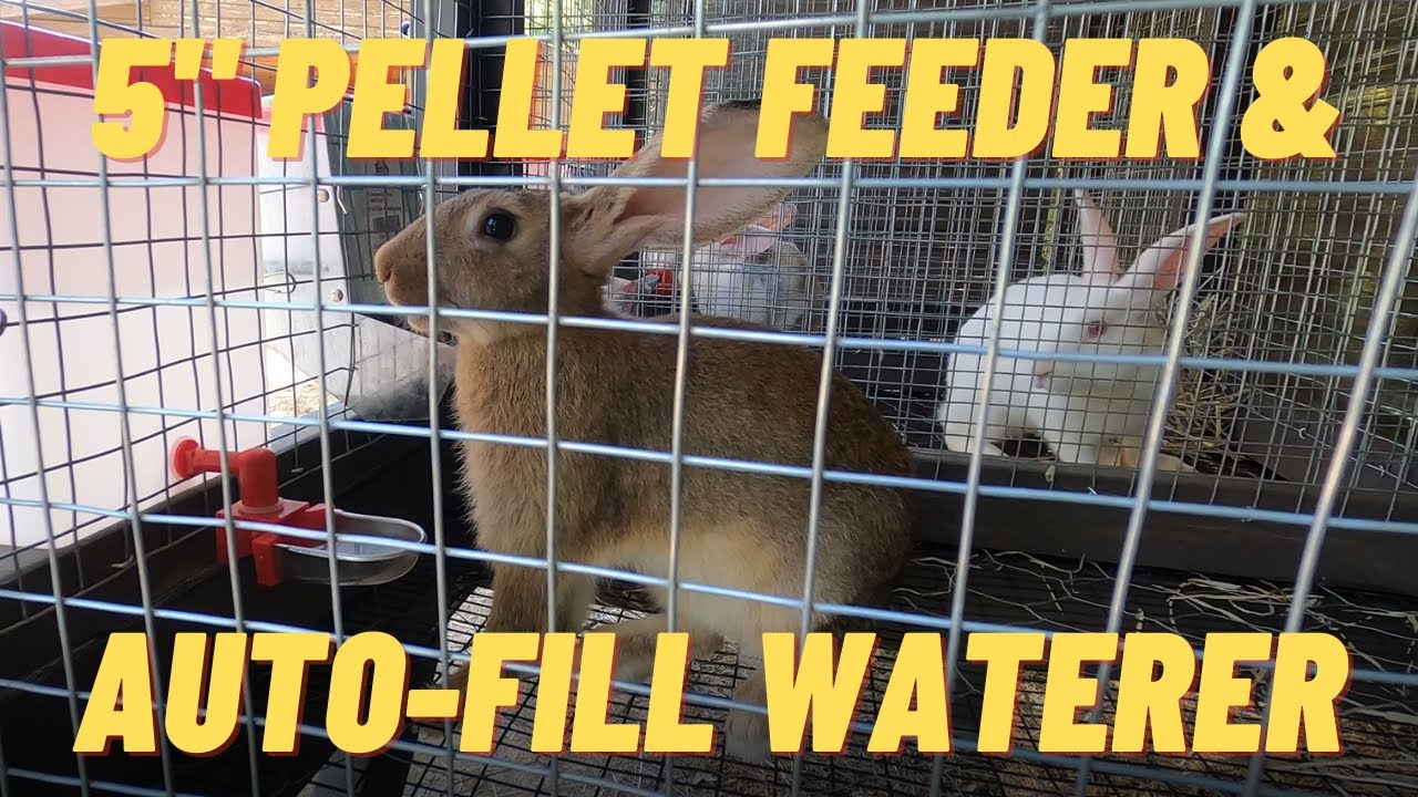 UNBOXING and REVIEW of Auto-Fill SS Cup Waterer and 5