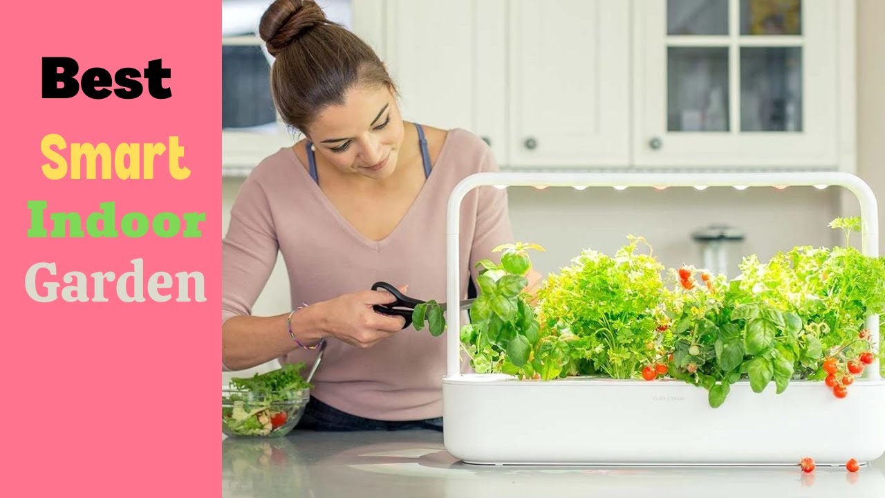 Best Smart Indoor Garden | The 10 Best Smart Indoor Garden Kits For Vegetables
