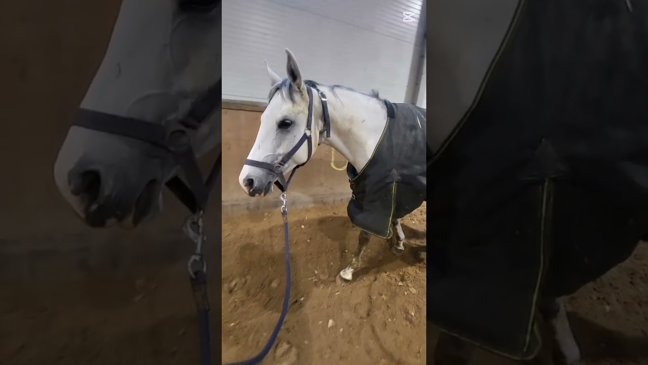 Cuksik😍Kuleje niestety😭