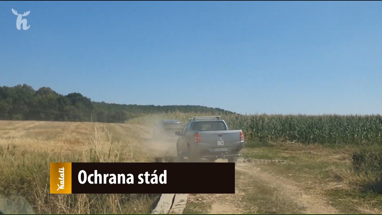 Ochrana stád a sadov