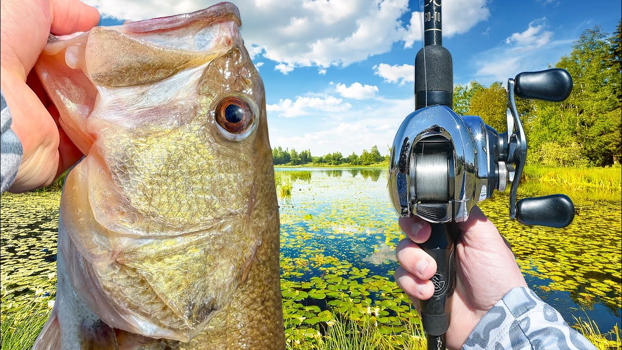 Fishing SECRET Backwaters FULL Of Monster Bass!
