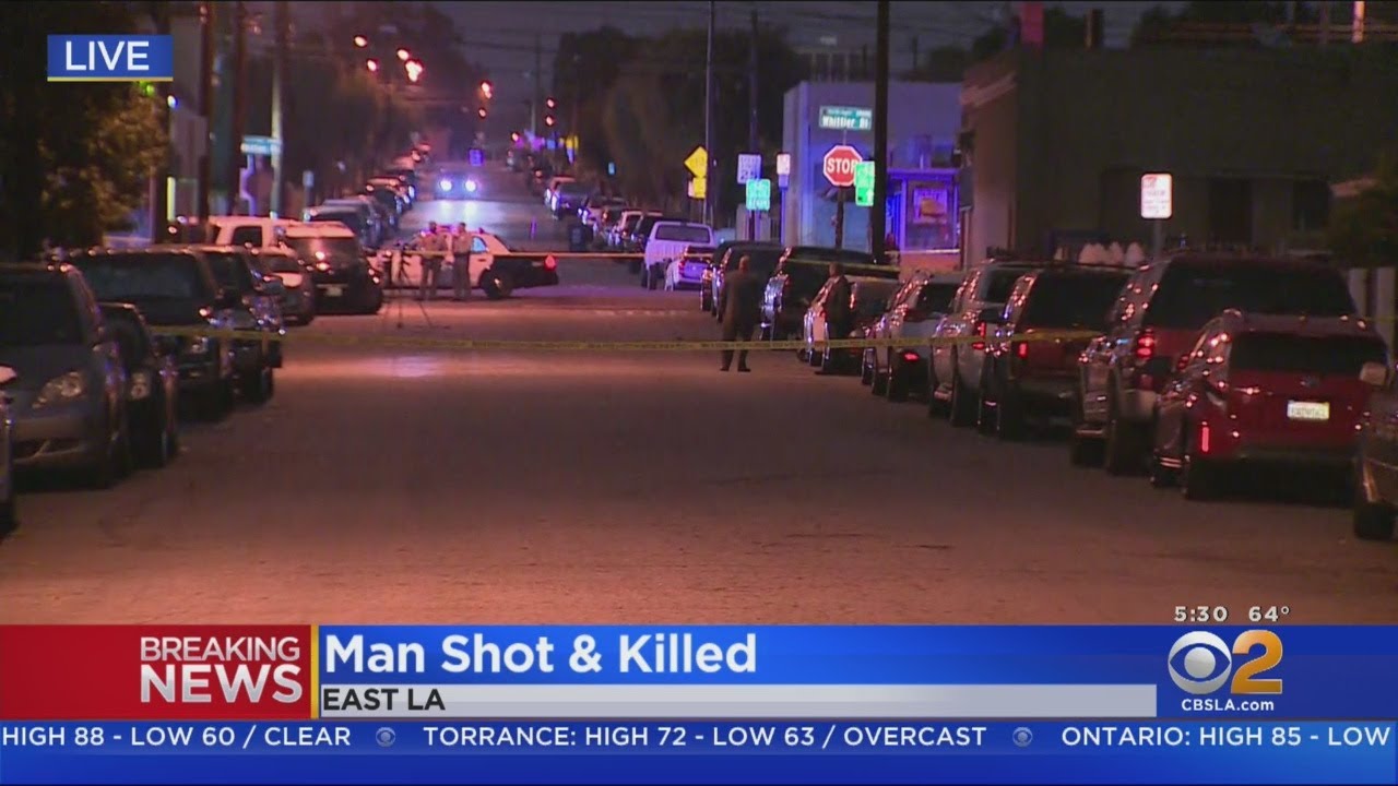 Man Shot, Killed While Walking His Dog In East LA