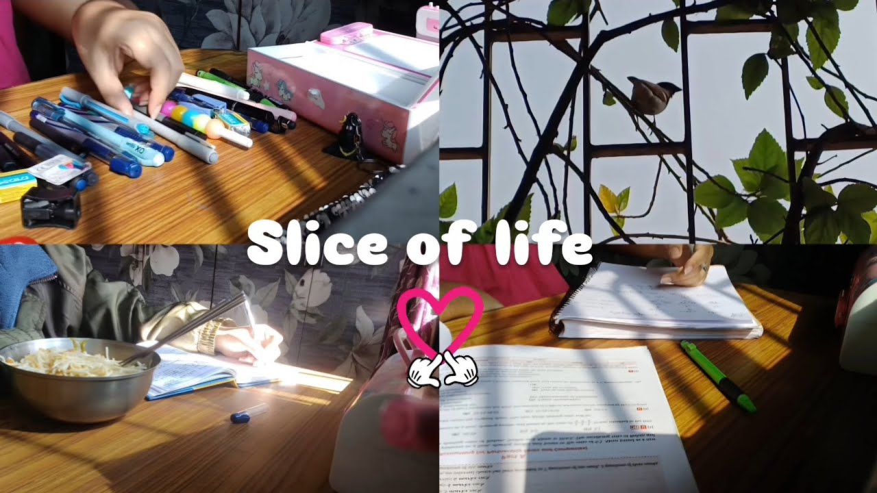 A Day in a Student's Life || vlog 6 || 