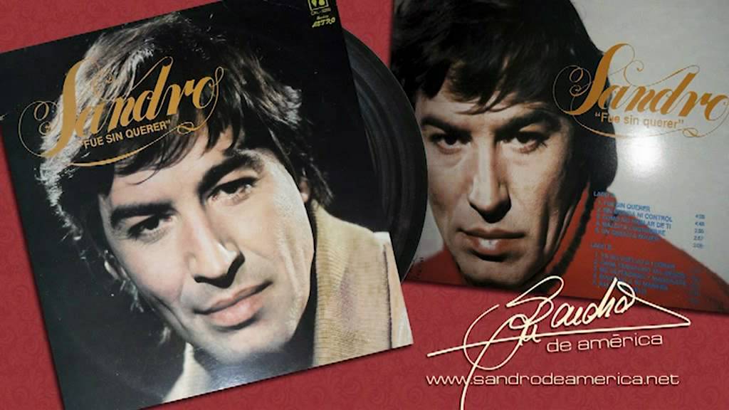 Fue sin querer - Sandro