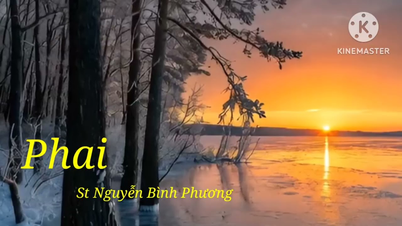 Phai – Nguyễn Bình Phương | Tình Khúc Mới Nhất 2026 | Official Audio
