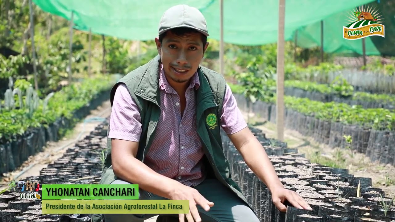 DRA-JUNÍN CULTIVO DE GUANABANA 01