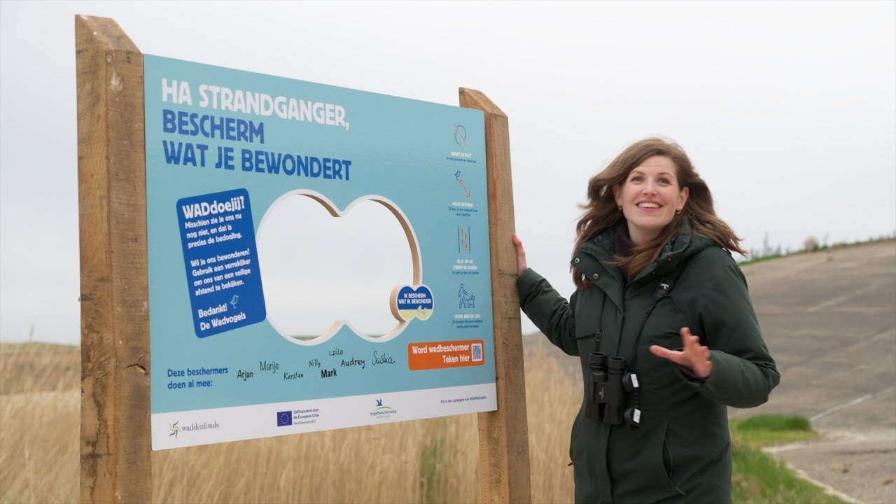 Campagne Wij & Wadvogels ‘Bescherm wat je bewondert’ | Vogelbescherming Nederland