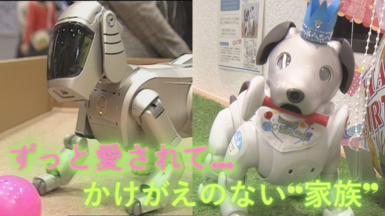 世界を驚かせた「アイボ」誕生から四半世紀…AI搭載で進化する『ペットロボット』育て方で400万通り以上の“個性”も